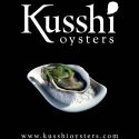 Kusshi Oysters featured in a bowl