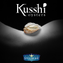 Kusshi Oysters profile picture, oyster sitting in the small of someone's back